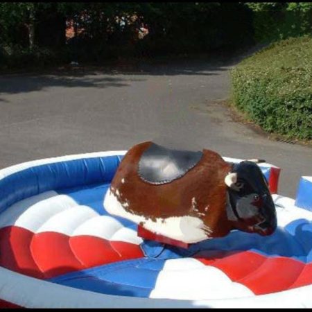 Toro Mecanico Alquiler